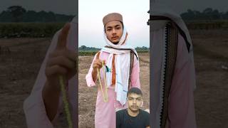 নামাজীর কবরে কেনো আজাব হচ্ছে  maghrib namaz niyam kanoon  namajer sothik niyom by zakir naik [upl. by Laeynad]