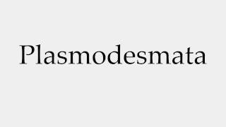 How to Pronounce Plasmodesmata [upl. by Naimad355]