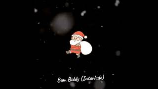 Bum Biddy Interlude Offical Visualizer [upl. by Templeton946]