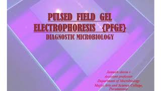 Pulsed Field Gel ElectrophoresisDiagnostic MicrobiologyPFGE [upl. by Jecho881]