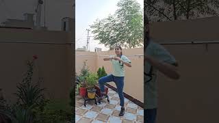 Pind De Gerhe  new Punjabi Song Dance Video  Punjabi Dance Video [upl. by Ahtnamas]