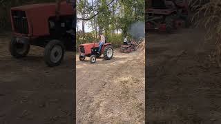 2000lbs Allis 5020 Vs My 1300lbs Massey 1655 [upl. by Boj]