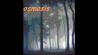 OSMOSIS  night in the forest [upl. by Yeargain603]