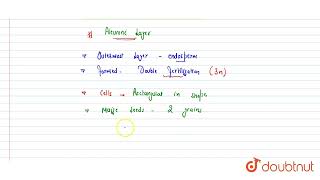 Aleurone layer of maize seed stores  and is  in ploidy  12  MORPHOLOGY OF FLOWERIN [upl. by Torrey]