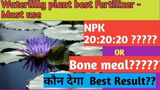 The best fertilizer for lotus and waterlilly plantsकमल कुमुदनि के पौधे के लिए एक अचूक खाद [upl. by Kiran]