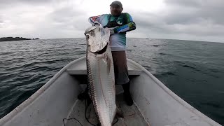 Pesca de Sábalo y Jurel en la Isla Uvita Limón Costa Rica [upl. by Andonis685]