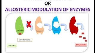 Feedback Inhibition or End Product Inhibition of Enzymes [upl. by Ibbison]