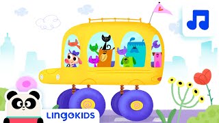 WHEELS ON THE BUS 🚌🎶 Nursery Rhymes  Lingokids [upl. by Pablo447]