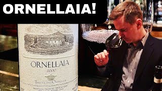 SUPER TUSCAN Legends ORNELLAIA amp MASSETO Wine Collecting [upl. by Oivat3]