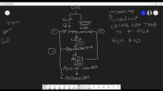 Understanding the Dexamethasone Suppression Test [upl. by Star833]