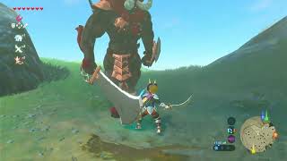 Zelda Red Lynel lynelzeldabreathofthewildnintendoswitch SLSDFun [upl. by Kcinemod665]