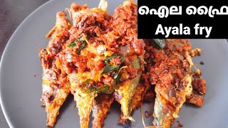 മീൻ ഏതും ആവട്ടെ മസാല ഇതുപോലെ തയ്യാറാക്കാം  Fish fry  Ayala fry  അയല ഫ്രൈ Malayalam recipe [upl. by Roid405]