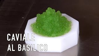 NUOVO METODO Caviale al basilico  Texturas [upl. by Kela]