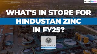 Hindustan Zinc CEO On Q1 Results Expansion Plans Capex amp More [upl. by Enneicul]