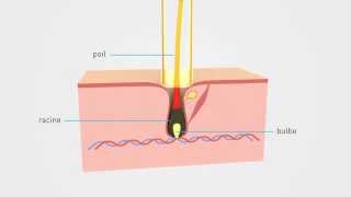 Epilium Epilation Laser  Principe et explication [upl. by Travax]