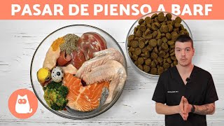 Cómo EMPEZAR la DIETA BARF con tu PERRO 🥩✅ 3 Formas [upl. by Kristina]