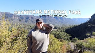 Grampians National Park things to do kangaroo spotting  tiny home stay  American in Australia [upl. by Bornie]