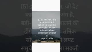 jesuschrist ✝️बोली मे सुधार होना चाये love music [upl. by Gurevich]