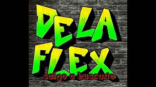 salgo a buscarte delaflex [upl. by Molini]