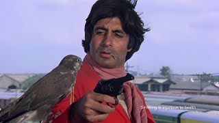 Coolie 1983  Full Bollywood Movie  Amitabh Bachchan Rishi Kapoor  Blockbuster Hindi Movie [upl. by Gylys]