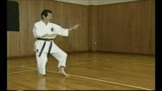 Sensey Jysinmon Shorin Ryu karate do Ikeda Hoshu [upl. by Sirk271]