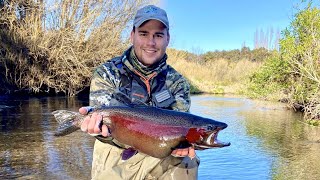 Fly Fishing Taupos Rivers  August 2023 [upl. by Iinden]