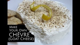 Make Your Own Goat Cheese Fast amp Cheap [upl. by Mensch]