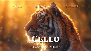 Classical Music Cello [upl. by Mable637]