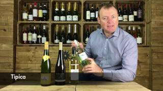 Episode 4  Top Pinot Grigio Tips [upl. by Hannasus]