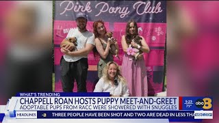 Singer Chappell Roan hosts puppy meetandgreet with Richmond Animal Care and Control [upl. by Oirasan58]