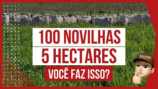 ¿Qué es mejor PASTO de corte o CAÑA  Tres recomendaciones para la alimentación de su GANADO [upl. by Einnad]