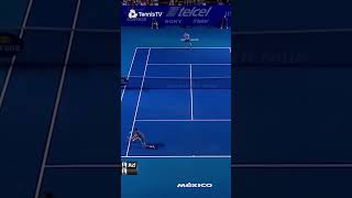 Murray vs Dimitrov MADNESS [upl. by Carilla]