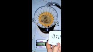 Manual Brew  Kalita Wave 185  Tentang Kopi [upl. by Kistner833]