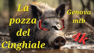 La Pozza Del Cinghiale  Mtb Trail Genova Righi [upl. by Adroj]