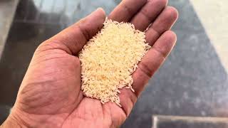 Best Rice in India  Most Famous South Indian Rice  Kolam Rice  Surti Kolam Rice  Keep Suppot [upl. by Jonny]