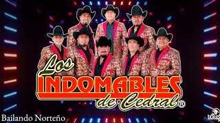 Los Indomables De Cedral ♪ Bailando Norteño [upl. by Ecnerual]