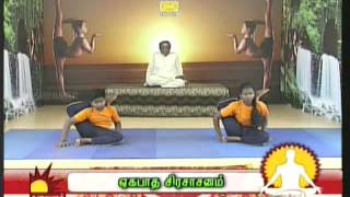 Dr Asana Andiappan Kalaignar Tv Yoga Program 29042013 [upl. by Ynohtnakram]