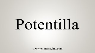 How To Say Potentilla [upl. by Akila]