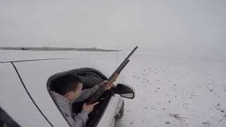 Coyote hunting Kansas snow day [upl. by Ettesoj815]