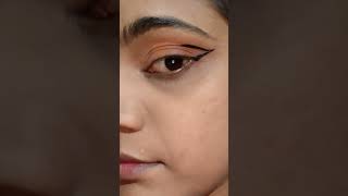 Graphic eyeliner tutorial 💞 song bollywood carenikarda punjabisong graphicdesign music [upl. by Etnom73]