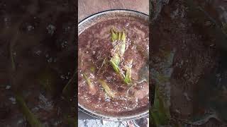 Masarap na palaman Choco bokayo para sa suman kamoting kahoy followers subscribers cooking [upl. by Dunlavy]