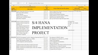 SAP Implementation Project Overview Class2 [upl. by Nnylacissej]