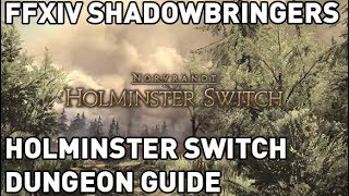 FFXIV Holminster Switch Dungeon Guide [upl. by Riva]