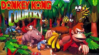 Donkey Kong 1981  Arcade Gameplay [upl. by Aratak155]