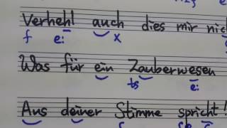 Schumann Ihre Stimme Text Aussprache 슈만 당신의 목소리 가사발음 [upl. by Nugent392]