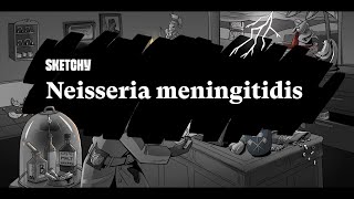 Neisseria Meningitidis Meningitis Causes amp Prevention Part 1  Sketchy Medical  USMLE Step 1 [upl. by Randy]