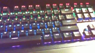 Blackweb Mechanical gaming RGB keyboard review [upl. by Enelloc855]