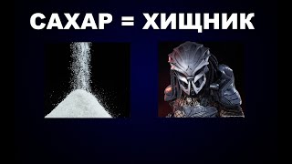 66 САХАР ХИЩНИК ПРИРОДА БОРЬБА ВЫЖИВАНИЕ БИЗНЕС [upl. by Pietro]