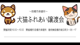 ふれあい譲渡会 ご案内 前橋市保健所 [upl. by Haggar]