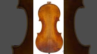 1643 Nicolò Amati Violin Dutch Musical Instruments Foundation [upl. by Seaddon979]